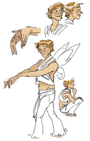 Misc fairy